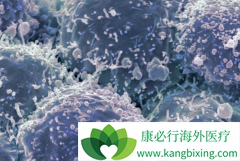 ������Ӧ֢��������(Afatinib)����HER2ͻ��ΰ����ߵ�����ѡ��