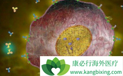 �������ٰ���ǰ����͡/�����鵥������ͬ���¸������Ʋ�Ӱ��OS