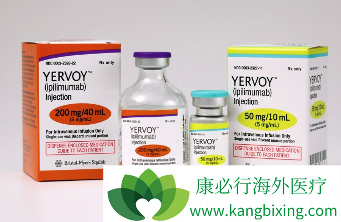 免疫治疗 免疫治疗