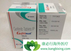 ����ҩ�Ｊ������(GEFITINIB)�����ڷ�Сϸ���ΰ��ļ�������