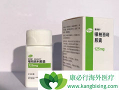 �ذ����ٰ�����ҩ��CDK4/6���Ƽ���������/������ҩ��ִ����