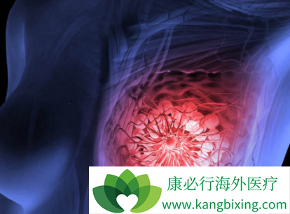 氟维司群 氟维司群