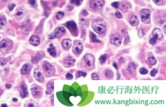 �ܰ������߿����ڼҵ�ע���޻�(Ristova)/������������