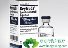 ��֢������ҩPD-1�����������鵥�����ҹ�����������Щ��֢��