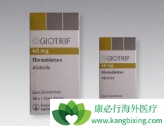 AFATINIB(��������)��ת���Է�Сϸ���ΰ����߾������ÿ͹ۻ�����