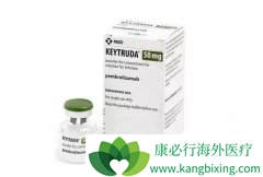 ��ķ������KEYTRUDA���������������Ͳ���׼��ΪNSqNSCLC��һ������