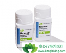 ʲô��ϸ�����ڵ��������Լ�ø��ʲô��CDK4/6���Ƽ���