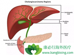 ������ɼ�����Ƶ��ܰ�������Ч����ô����