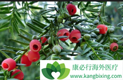 �׵��׽������ɼ���봫ͳ��ɼ����ʲô����