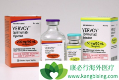 CTLA-4ҩ��Yervoy�Ļ�����־����һ����֢�����Ʒ�������