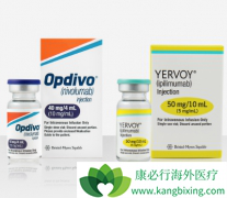 CTLA-4ҩ������CK2���Ƽ�ʵ�����ư�֢��Ч�����