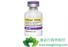 �����鵥��ҩ��ż���T-DM1/Kadcyla��������HER2ͻ��