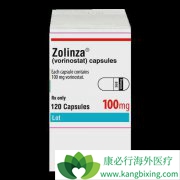 ʹ�÷���ŵ��(Zolinza)�ĸ����ü�ע������