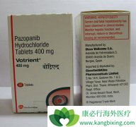 ����������ӡ����������(votrient)��ȫ�Ը���