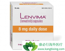 �ַ����ᣨ�����꣩�ڹ��ڻ�������ԭ���Ը�ϸ������Ч����ô��