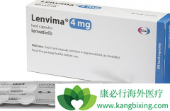 �׻����ط�����/�ַ�������й��ΰ��������Ƹ�������