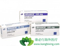 �ո����ҹ����е���������(Ibrance)����������ʲô��֢�ģ�