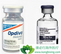 PD-1����Opdivo���ձ�����ʱ��ȫ���׸�������PD-1���Ƽ�