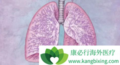 PD-L1���尢���쵥��ע��Һ(atezolizumab)�����Ʒ�Сϸ���ΰ���