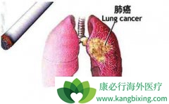 ��һ����Щ����ɷΰ�������ԭ��