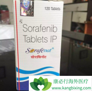 ӡ����������(Sorafinat)����η��ӿ���״�ٰ�����������