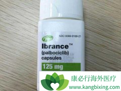 ����ѪҺ��ⷽ����Ԥ����������(Palbociclib)���Ƶ���Ч�̶�