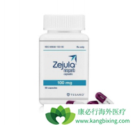 ���������й��ٴ�����֤��gBRCA���Ի��߿ɴ���������ά�������л���