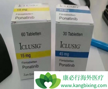 ��������Ѫ������ҩ����������(ponatinib)��ǰ�����Ĳ�����ģ�