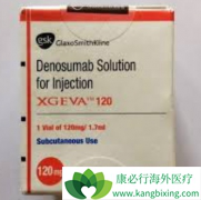 ��ŵ����(SGEVA)�����ƹ�ת����������������Щ����