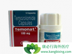 ���˶����Խ���ϸ������Ī��(temonat)���������ƴ��尩