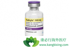 ���ٰ���ҩT-DM1һ��������ɫ�Ŀ�������ҩ��