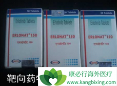 �����������޿�(Erlotinib)�ΰ����߻����Է���ӡ�����޿�