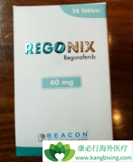 �ϼ���beacon������������(Regonix)Ϊ�θ��ܻ��ߵĻ�ӭ��