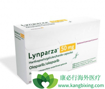 �����������Ƹ������ѳ�����Ч����ô����