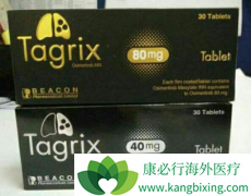 �ϼ�������ҩ��ϣ����(Tagrix)�����ڷΰ���ת�ƻ�����