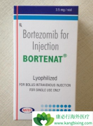 ����(BORTENT)���ƹ����������ǶȰ�Ҫ�����ģ�