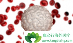 ��³����(Ibrutix)ʧ�ܺ�CLL���߲���CAR-T���ƿ�����