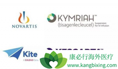 Yescarta��Kymriah��Ŀǰ���е�Ψһ����CAR-T�Ʒ�