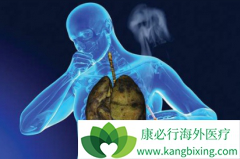 �۰��ͷ��ۻ��߾��ܴ����䵥��(nivolumab)/ŷ�����л���