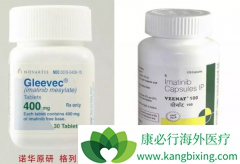 �׻�����������/���������׸�����θ��������������չ��Ӧ����Ч��ҩ��