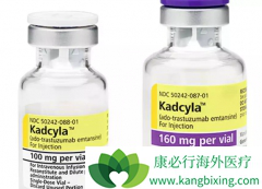 T-DM1��Kadcyla������Her2ͻ��ķΰ�����Ҳ������Ч��