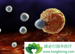 CAR-Tϸ�������Ʒ���CAR-T�е�����ЩҪ��