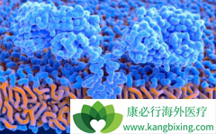 CAR-T��ƷKymriah��Yescarta֮����ʲô����