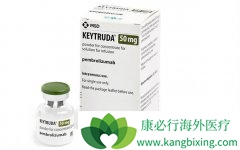 PD-1���Ƽ�Ϊ�޻���ͻ��ķ�Сϸ���ΰ����ߴ�������