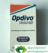 ��е�����ҩ�����䵥��(opdivo)�Բ�ͬ��Ӧ֢����θ��ļ�����