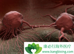 ������������(BORTENT)�����ڼ���ֶ���Ż����ô��