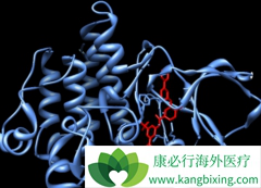 ��������(ICLUSIG)�������ϸ����ֲCML���߸�ѡ�ĸ�