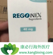 ���������������鵥����������ҩ���ư�ȫ�Ը���