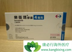 ��ͬ�汾�ַ�����/�ط�����ļ۸���ʲô���