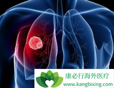 EGFRͻ�������ת�Ƶķ�Сϸ���ΰ�����Ӧ���ȳ԰���ҩ��������ƣ�